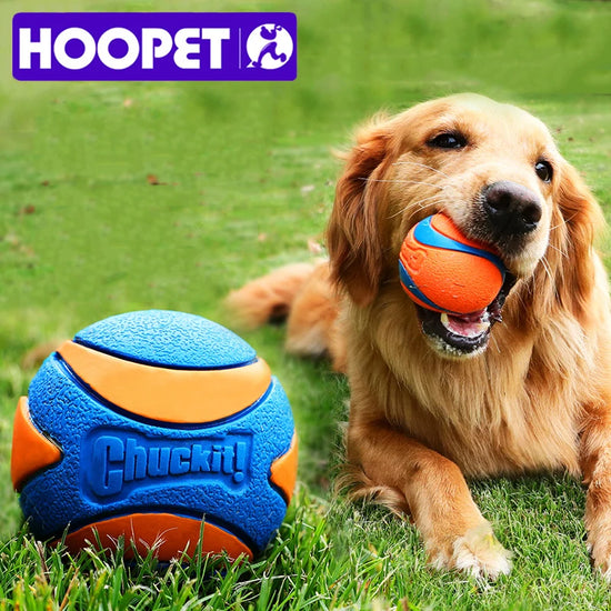 HOOPET Pet Dog Puppy Squeaky Chew Toy