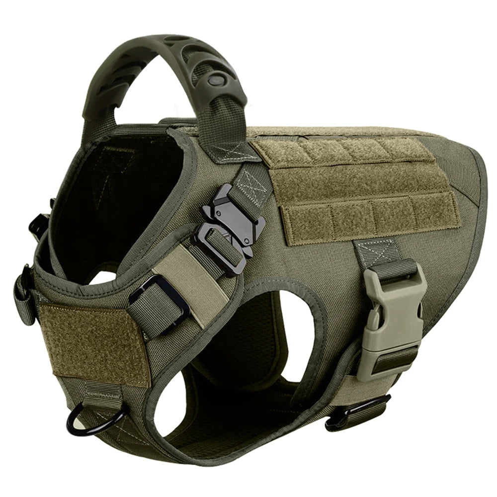 Large Dog Harness and Leash Set