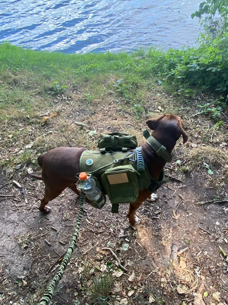 Tactical Dog Harness Collar Leash