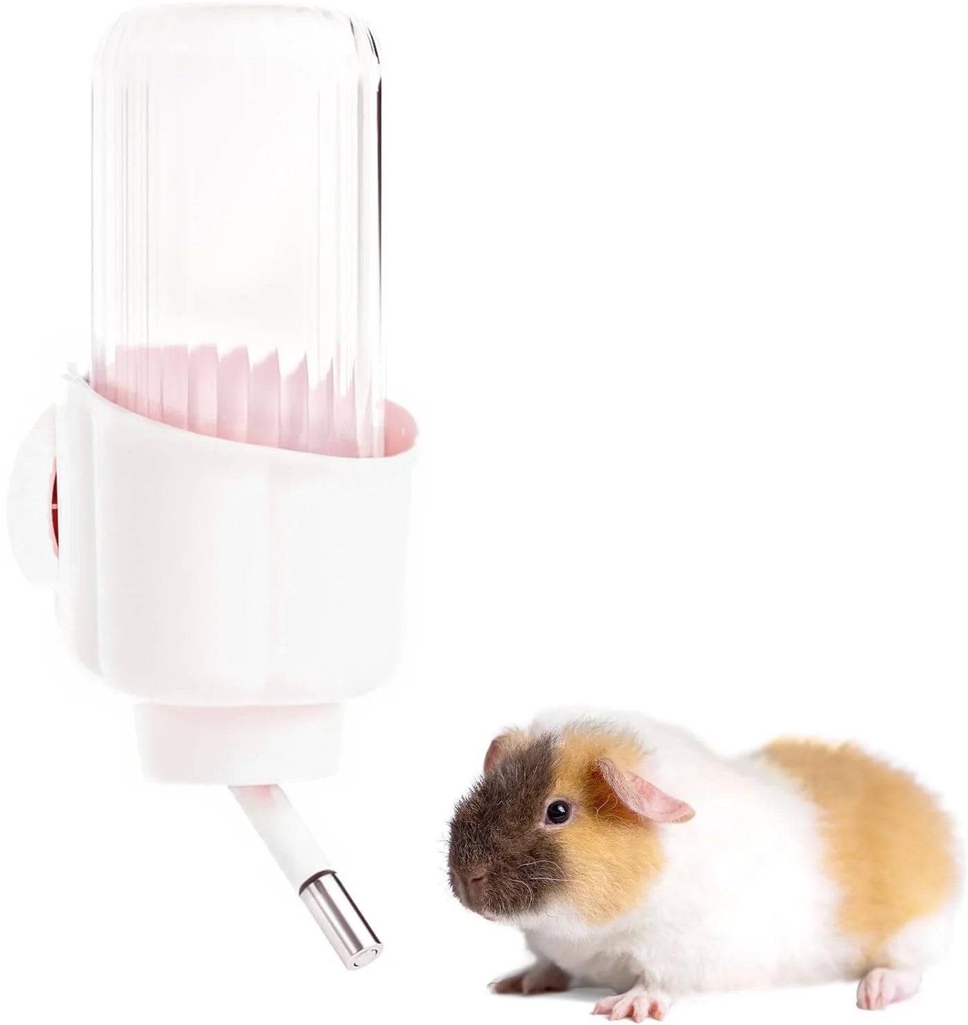 Pet Water Bottle for Cage Crate
