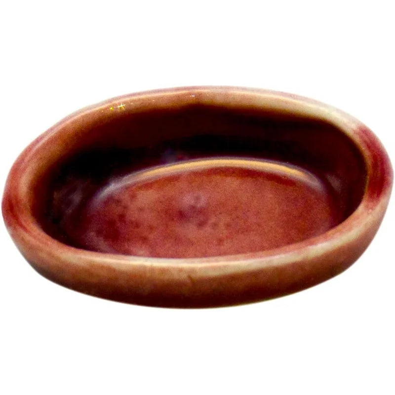 3 Snail Food and Bowl Land Pet Calcium Feeder