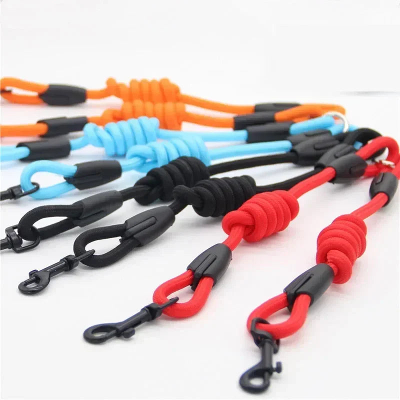 Leashes Dogs 2 Double Accessories