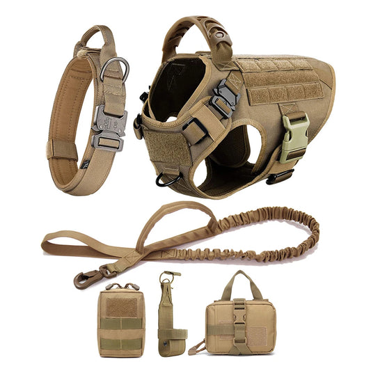 Large Dog Harness and Leash Set