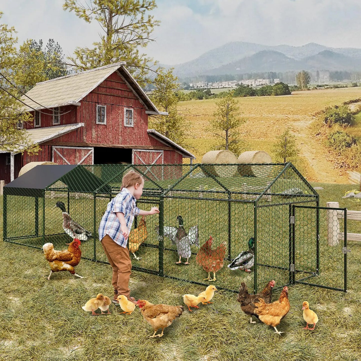 Metal Chicken Coop