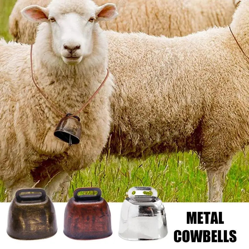Farm Cow Grazing Bell