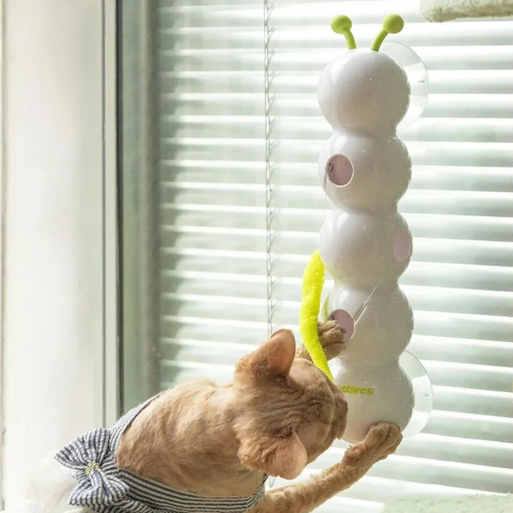Caterpillar Teasing Cat Toy