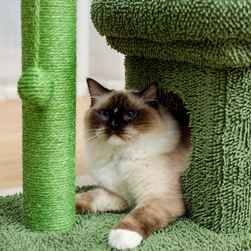 Cute Cactus Pet Cat Tree